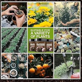 🌱 Soil Activator – Plant's Best Friend (BUY 1 GET 1 FREE ) Pack of 2